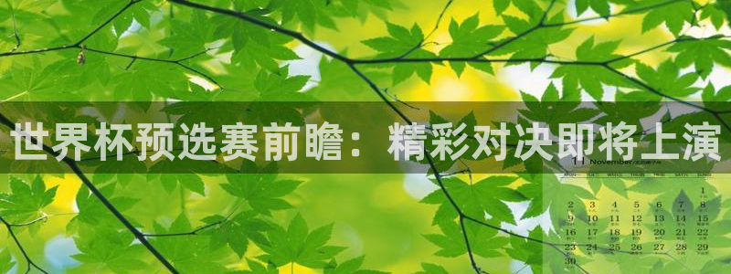 世界杯预选赛前瞻：精彩对决即将上演