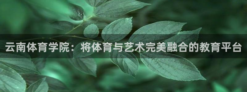 云南体育学院：将体育与艺术完美融合的教育平台