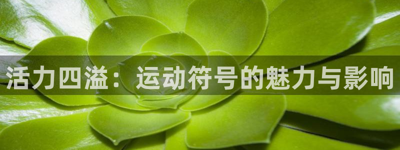 活力四溢：运动符号的魅力与影响